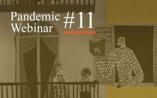 Pandemic Webinar #11: Public Narratives of Epidemic Outbreaks