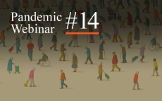 Pandemic Webinar #14: Pandemic in an Aging World